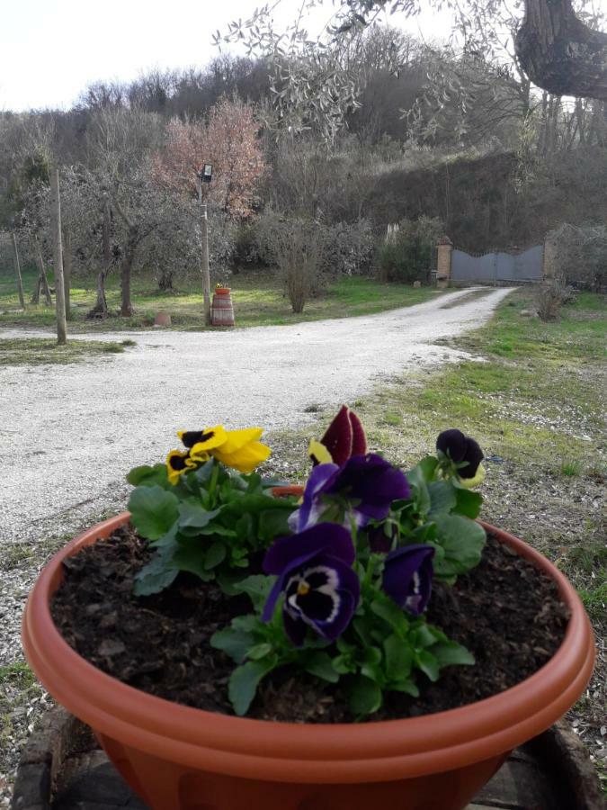 La Casa Di Eva