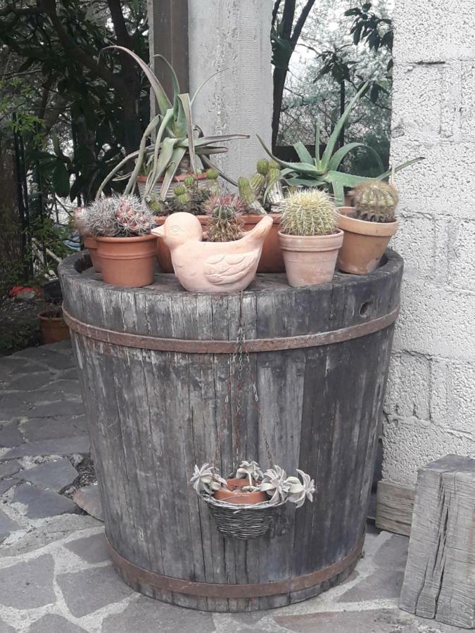 Villa La Casa Di Eva Castel Viscardo
