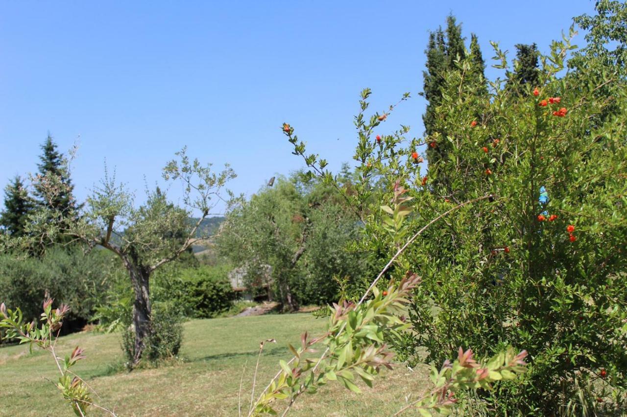 La Casa Di Eva Villa Castel Viscardo
